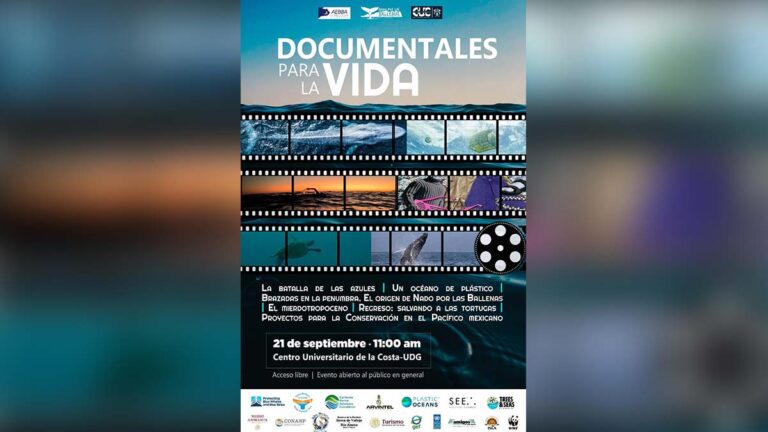 documentales