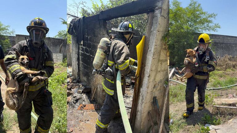 rescate