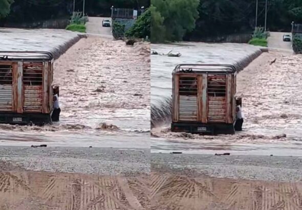 CAMIONETA