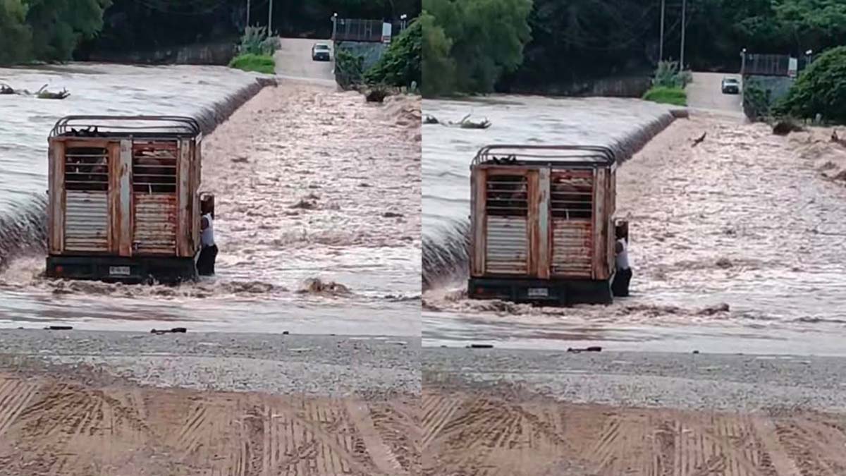 CAMIONETA