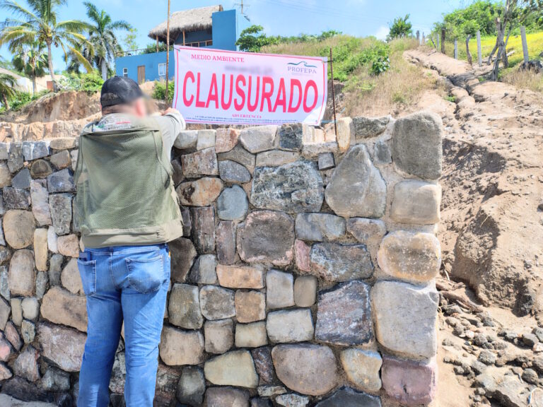 PAG5-4 SAYULITA (3)