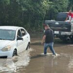 bache