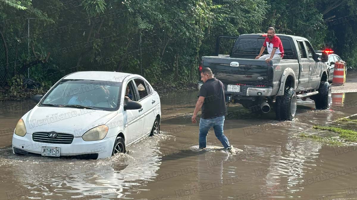 bache