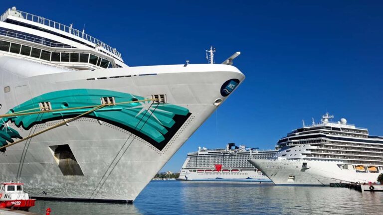 cruceros